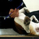 팔팔오락실 이미지