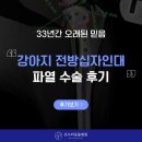 디디동물병원 | 순천 동물병원 강아지 전방십자인대 파열 수술 후기