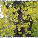 수맥과 풍수 이미지