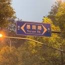 M&M Dog | 상하이 여행 가볼만한 곳 왕홍 현지인 추천 위위엔루 맛집 카페 쇼핑 citywalk