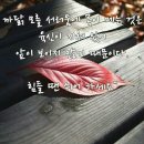 킹스타당구장 이미지