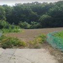 보은정보고등학교 이미지