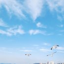 대천화랑