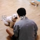 💟보는순간 심ㅇ지🔥😍💙❤️💓🤍 이미지