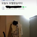 ★★ 오늘 남친과 모텔 가신 (대구)성림 찾습니다 ★★ 이미지