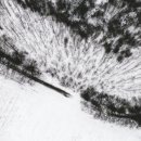 키즈스마일치과의원 이미지