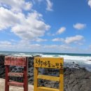 제주마중in판포 이미지