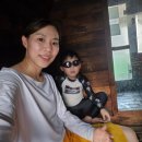 핀란드캠핑성 | 가평핀란드캠핑성 후기 – 아이와 함께하는 완벽했던 가족 글램핑