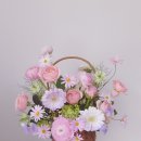 아셀플레르