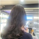 코코헤어 이미지