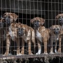 상한농장 이미지