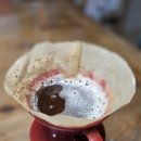 허니(HONEY) | 코케허니 (Coke Honey) 스페셜티 커피 후기 — 오클릭커피에서 주문한 달콤한 향의 정체