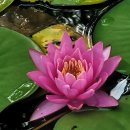 외정공원 이미지