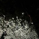 슬렌더짐 이미지