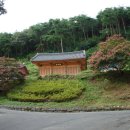 충화 학음정 네이버블로그