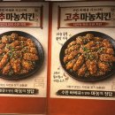 마농 | 제주 치킨맛집 수만바베큐치킨 고추 마농치킨 후기
