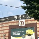 광장시장 먹거리 내돈내산 솔직 후기 / 주차/ 웨이팅/ 순희네빈대떡, 고씨네, 꽈배기