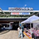 오일스타(주) 익산지점 착한8주유소 | 정안 알밤 휴게소 천안논산고속도로 하행 맛집 간식 환승