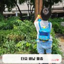 3세 4세 남아 장난감 타요 배낭 물총 후기(엑스샷 워터건 비교)