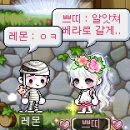 쁘띠베라 이미지