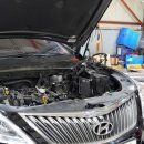 TM모터스 이미지