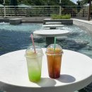 해브9 | 제천 리솜 포레스트 해브나인 스파 수영장 후기 및 정보 ( 식당 , 야외스파 , 준비물 , 가격 )