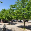 청도 지오 오토캠핑장 이미지