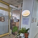 비채(BICHAE) | 해운대브런치카페 카페비채 BICHAE 연어샐러드 명란크림파스타 배부르게 먹고온 후기(인당 무료 음료 tip!)
