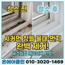더솔루션온에어 네이버블로그