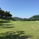 한주체력단련장 | [강원도 골프장]원주 공군체력단련장 웅비코스 라운딩 다녀왔어요