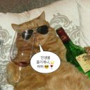 등촌제일유치원 | 흘러가자 그냥 그렇게