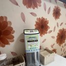 추필여국시 | 속초 추필여국시 내돈내산 장칼국수 후기, 속초고속터미널 근처 맛집