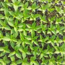 용옥농장 이미지