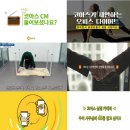 코아스 이미지