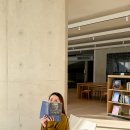 다도숲 | 에가톳 제주 라이브러리 독립서점 책방 찻집 티하우스 숲체험 ❤️ 제주 다도 이색 체험