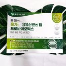 유한회사엔탑