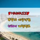 알로하풍선 이미지