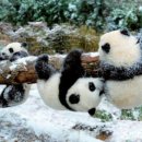 남성목욕탕 이미지