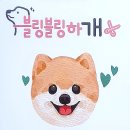 엑스포로123번길(유성-108) 네이버블로그