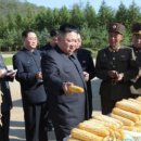 옥수수통신 조선일보