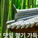 담양여행