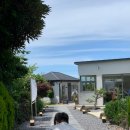 카페 콩가 이미지