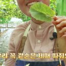 김천남매농장