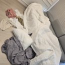 안성리-2 | 대정읍 안성리 헤르멘하우스 정기적관리 2년차 다녀왔습니다