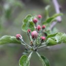 눈비산마을 공동체 농장 이미지