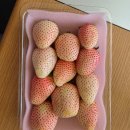 (주)디엠유통