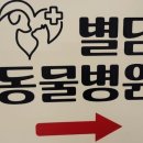 파라곤동물병원 이미지