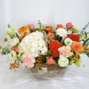 로즈당구클럽 이미지