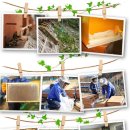 3형제농장 이미지