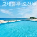 송지호모네블루 네이버블로그